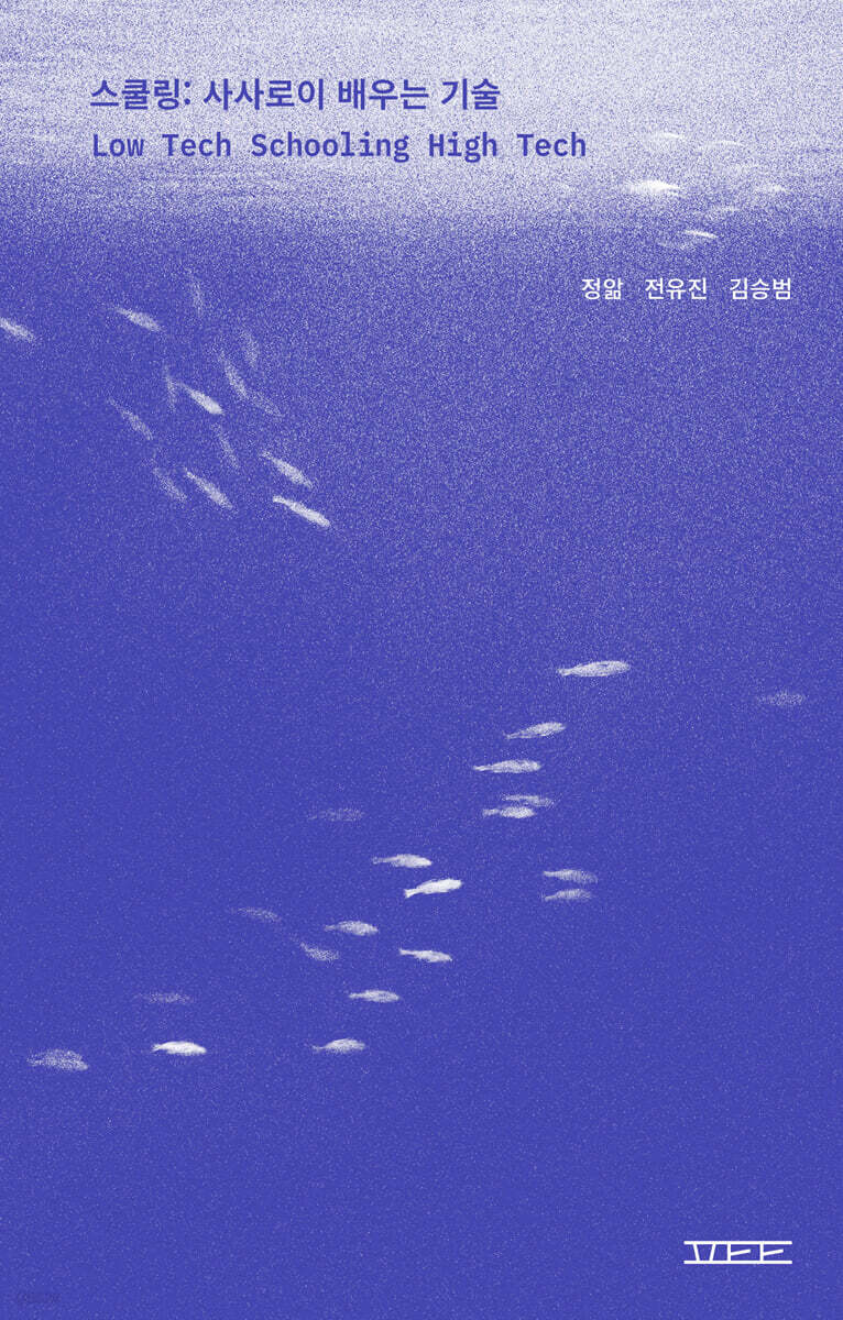 스쿨링: 사사로이 배우는 기술