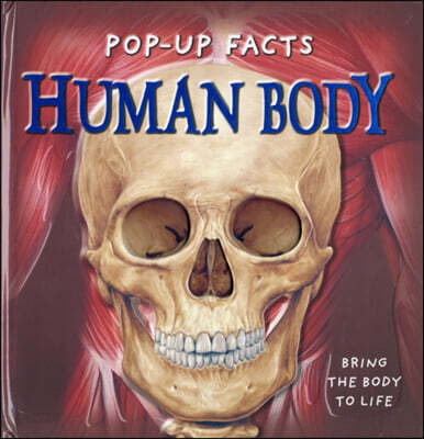 Pop-up Facts: Human Body (Hardcover)