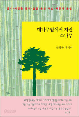 대나무밭에서 자란 소나무