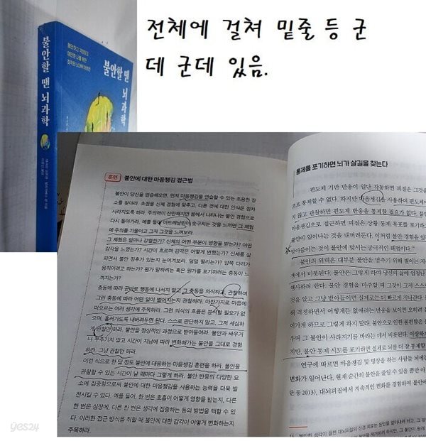 불안할 땐 뇌과학