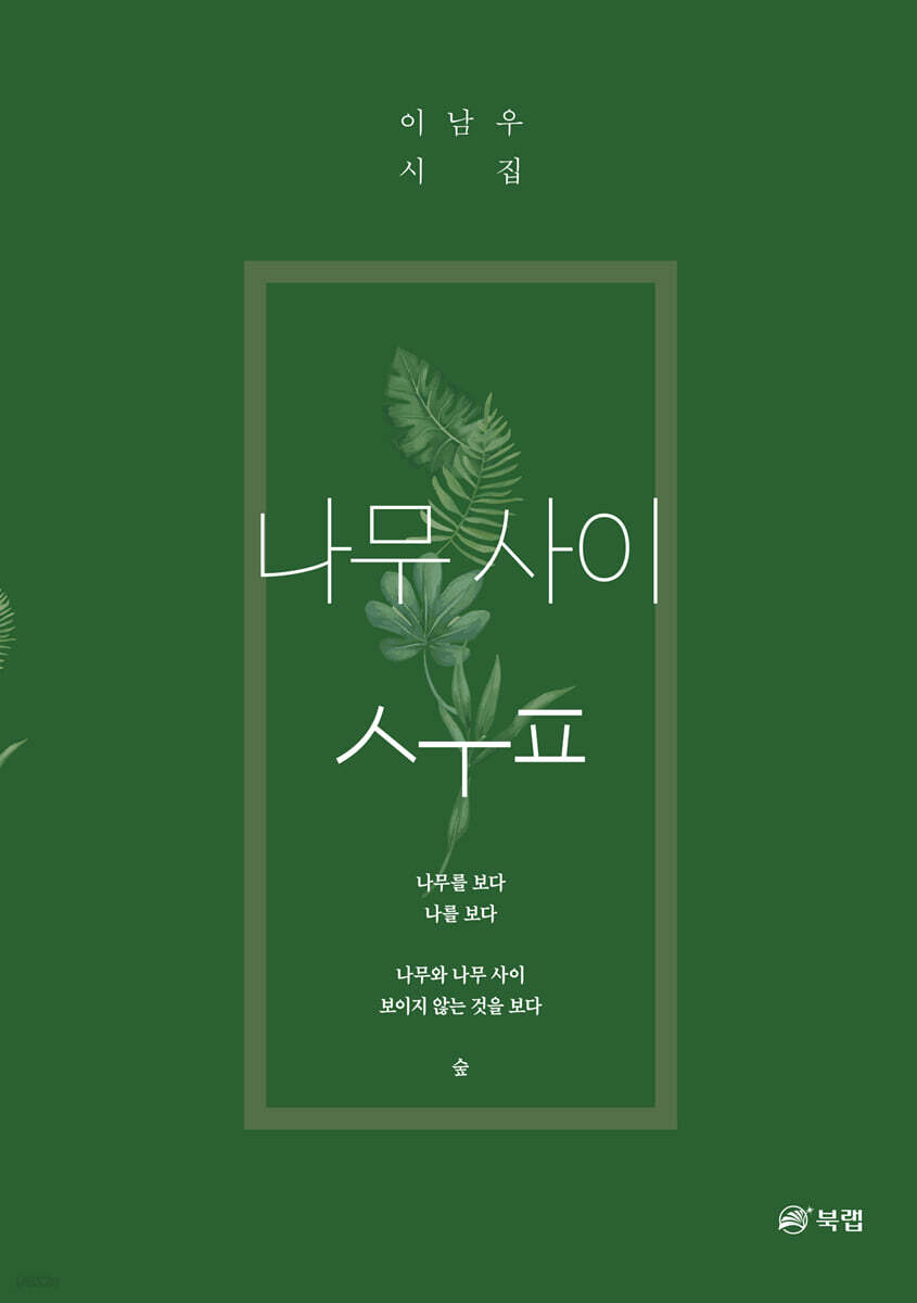 나무사이 숲
