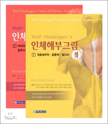 인체해부그림