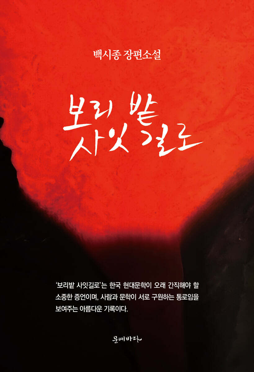 보리밭 사잇길로