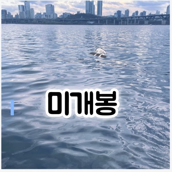 Fin Fior (핀 피오르) - 겁이나 (미개봉CD)