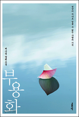 부용화 : 천년이 지나도 믿을 수 없는 사랑의 기적
