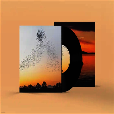 Erland Cooper — 쿠퍼: 새벽의 합창 (Cooper: Dawn Chorus) - Erland Cooper 앨범 커버