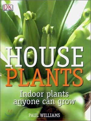 Houseplants : Indoor Plants Anyone Can Grow