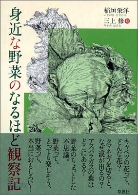 身近な野菜のなるほど觀察記