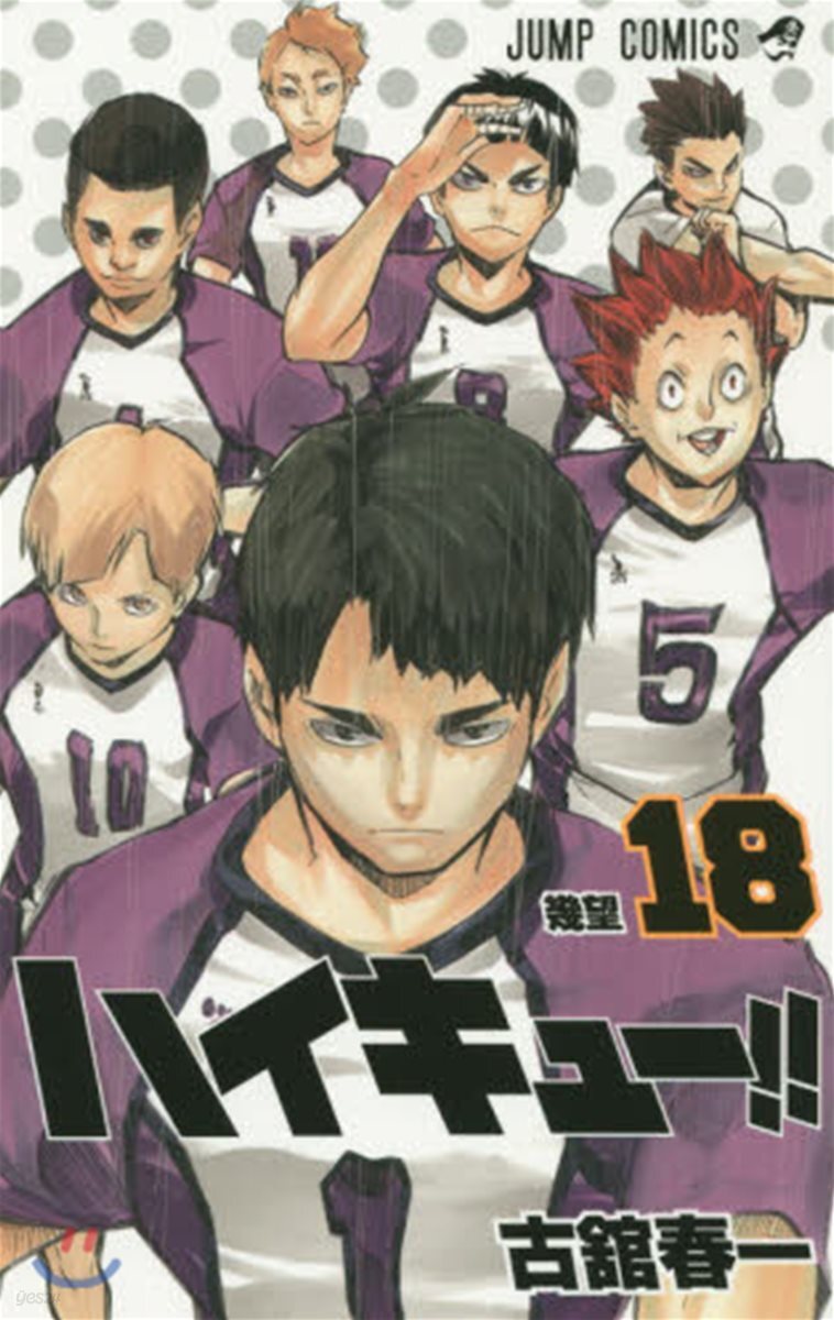 ハイキュ-!! 18