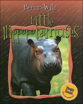 Little Hippopotamuses