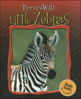 Little Zebras