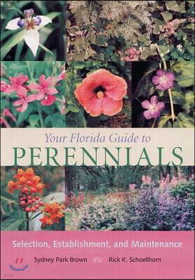 Your Florida Guide to Perennials: Selection, Establishment, and Maintenance