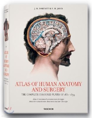 Bourgery, Atlas of Anatomy