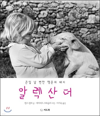 책 정보