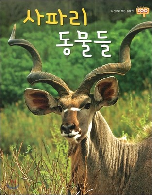 사파리 동물들 