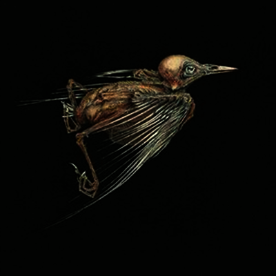 Jenny Hval & Susanna — Meshes Of Voice 앨범 커버