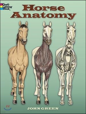 Horse Anatomy Coloring Book