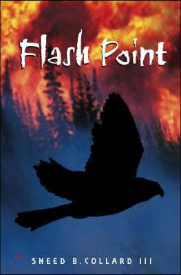 Flash Point