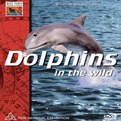Dolphins In The Wild (ɽ   ϵ)(ѱ۹ڸ)(DVD)
