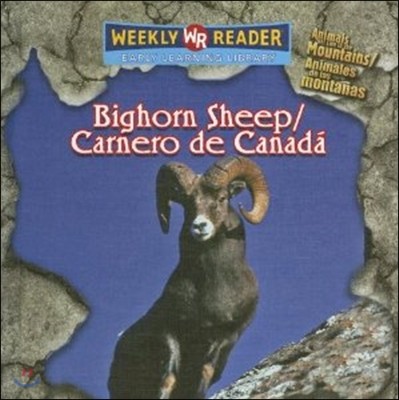 Bighorn Sheep/carnero De Canada