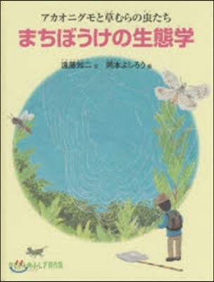まちぼうけの生態學 アカオニグモと草むら