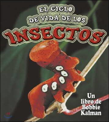 El Ciclo de Vida de Los Insectos (Insect Life Cycles)