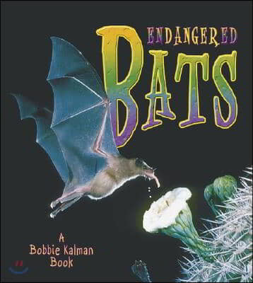 Endangered Bats