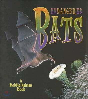 The Endangered Bats