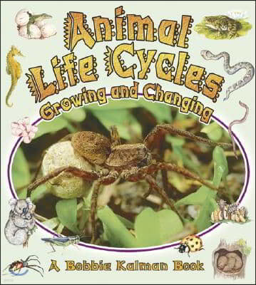 Animal Life Cycles: Growing and Changing