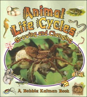 Animal Life Cycles