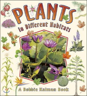 The Plants in Different Habitats