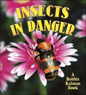 Insects in Danger