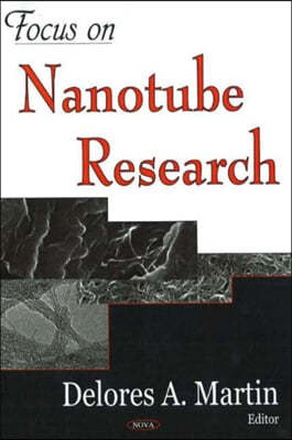 Focus on Nanotube Research