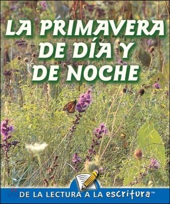 La Primavera de Dia Y de Noche: One Spring Day and Night