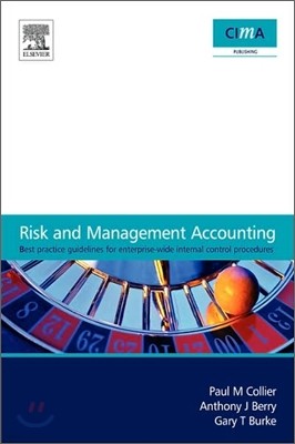 Risk and Management Accounting: Best Practice Guidelines for Enterprise-Wide Internal Control Procedures