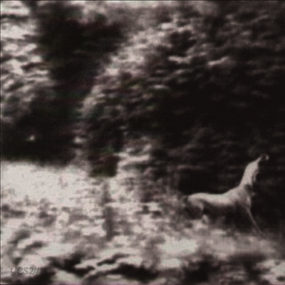 Syd Matters - Ghost Days (LP)