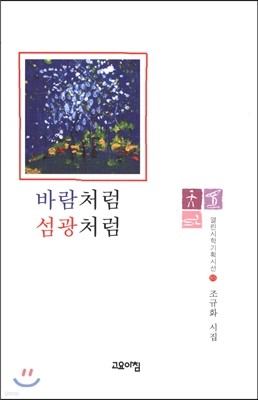 바람처럼 섬광처럼