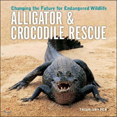 Alligator & Crocodile Rescue: Changing the Future for Endangered Wildlife