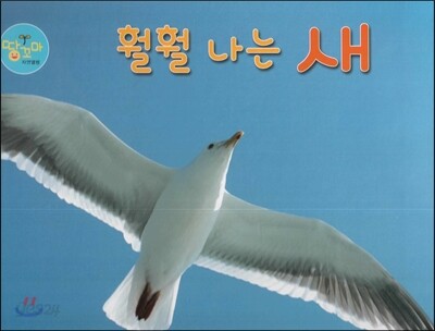 훨훨 나는 새 (새)
