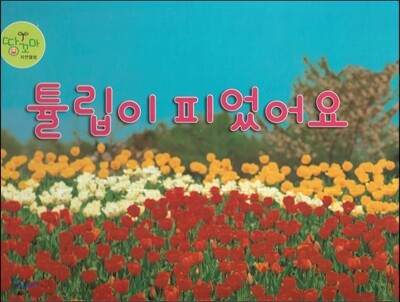 튤립이 피었어요