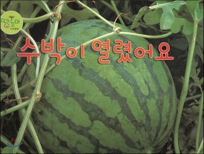 수박이 열렸어요 (수박)