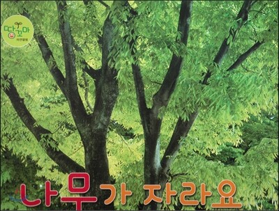 나무가 자라요 (나무)
