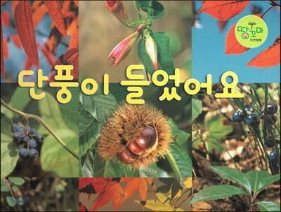 단풍이 들었어요 (열매, 잎)