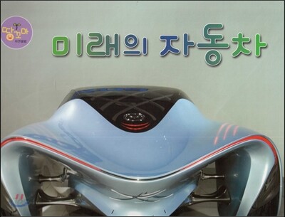 미래의 자동차 (자동차)