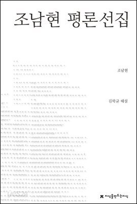 조남현 평론선집 - 지식을만드는지식 한국문학평론선집