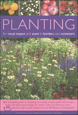 Planting for Visual Impact and Scent in Borders and Containers