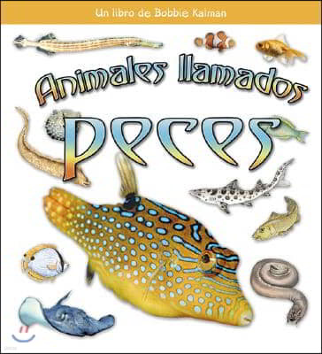 Animales Llamados Peces (Animals Called Fish)