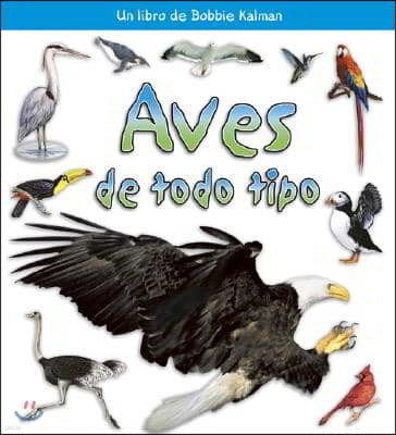 Aves de Todo Tipo (Birds of All Kinds)