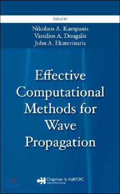 Effective Computational Methods for Wave Propagation