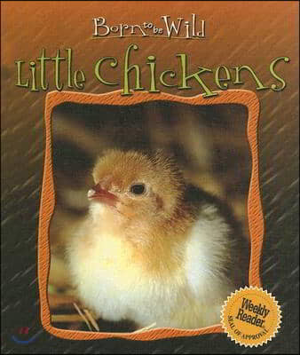 Little Chickens